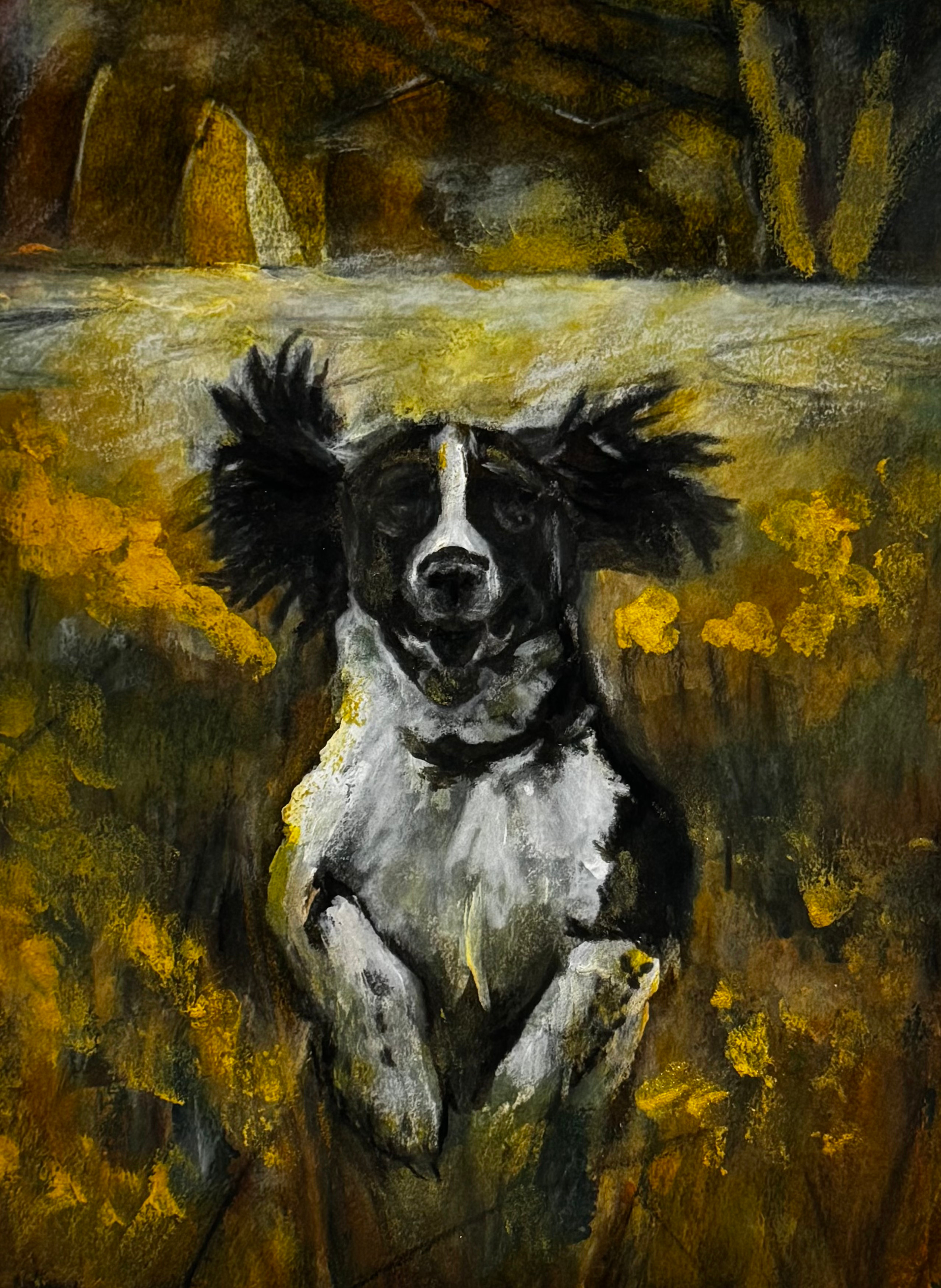 Pet portrait commission